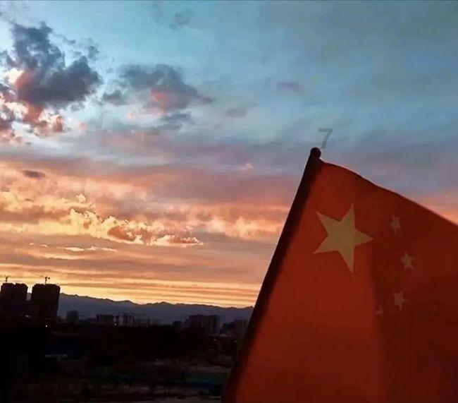 津南区区长杨灏：打好生态、科教、会展“三张好牌” 为打造北方会展之都贡献力量