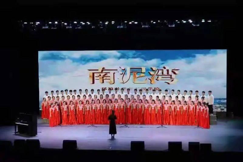养了五个月的猫可以送人吗？游戏画面