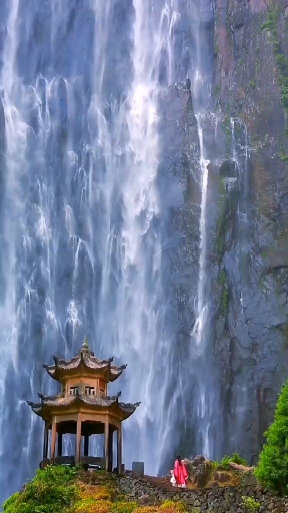 逃离大犀牛出没地