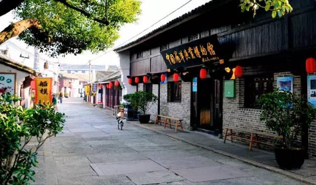 森系丛林